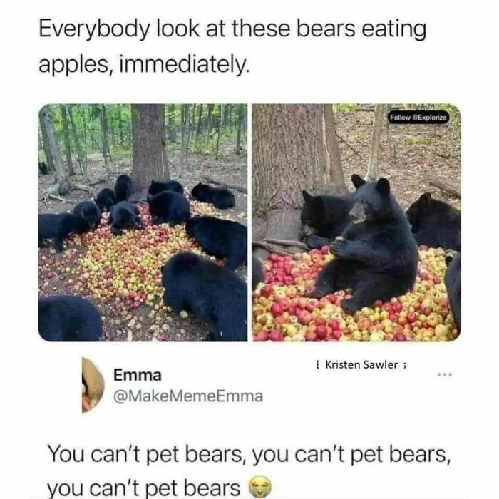 Wholesome-Meets-Internet