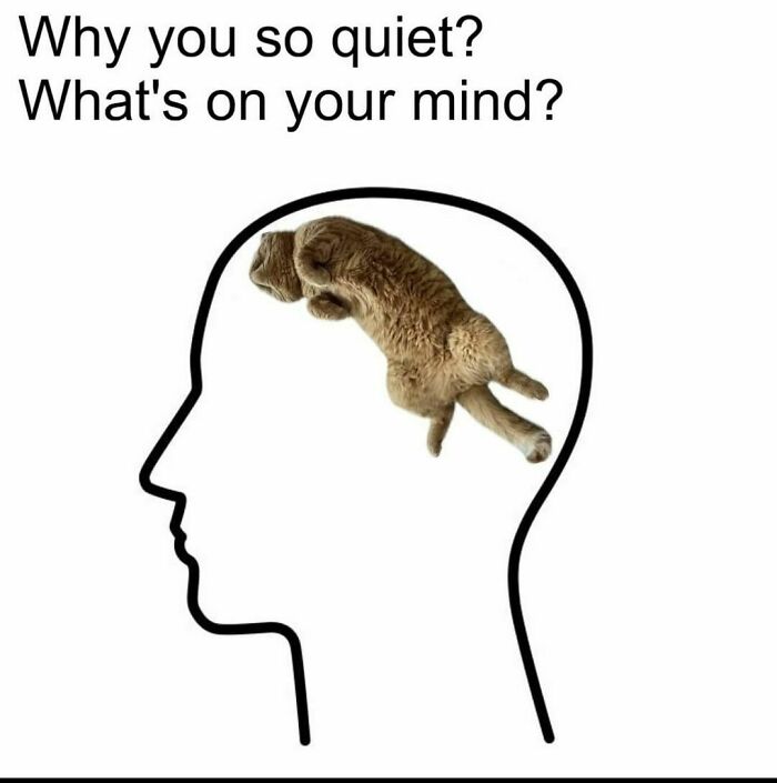 *willie Nelson Voice* You Were Always On My Minnnnnndddd