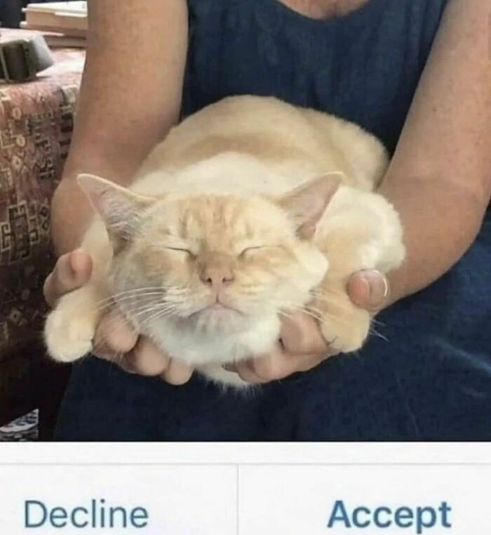 1000x Better Than Red Pill/Blue Pill