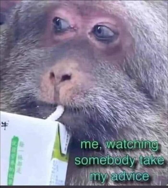 Funny-Women-Humor-Memes