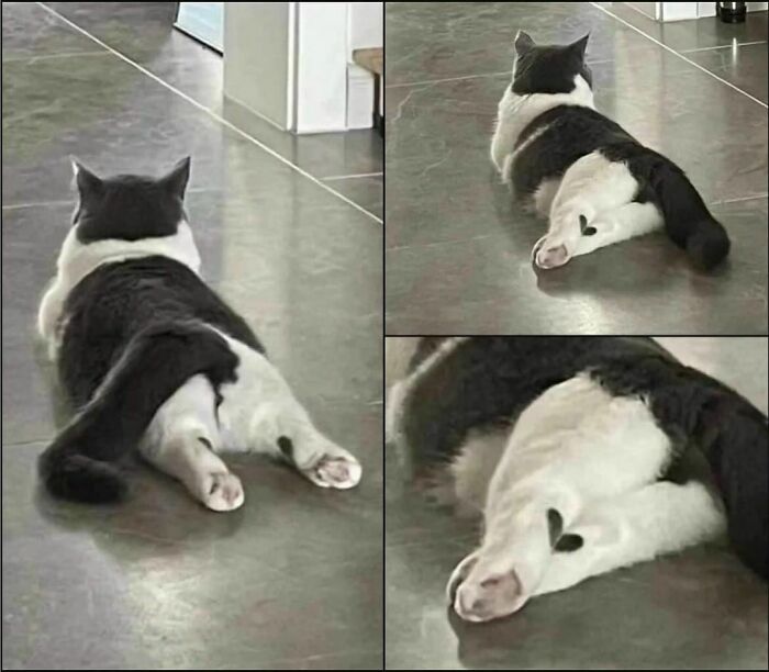 Si tienes suerte, te enseña su corazón