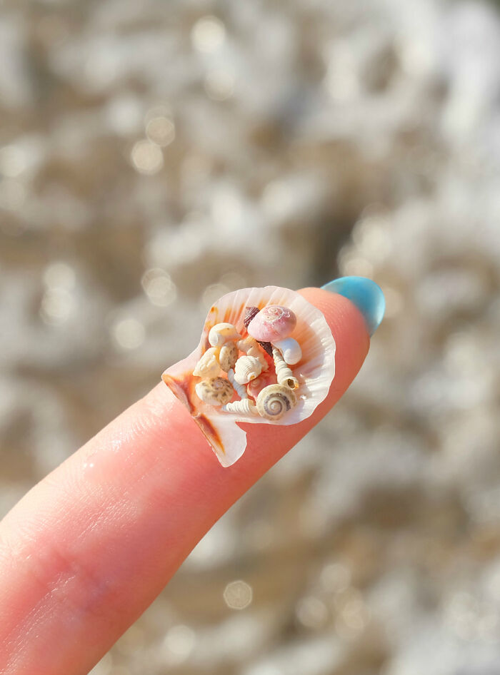 I Made Jewellery Using Shells From An Enchanting Beach