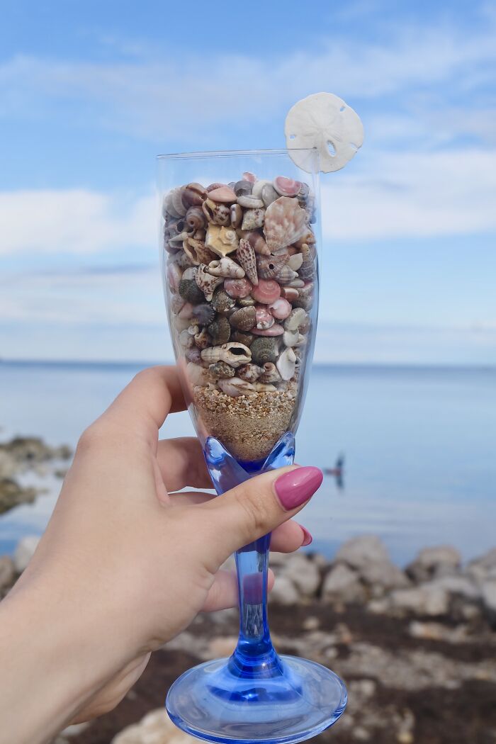I Made Jewellery Using Shells From An Enchanting Beach