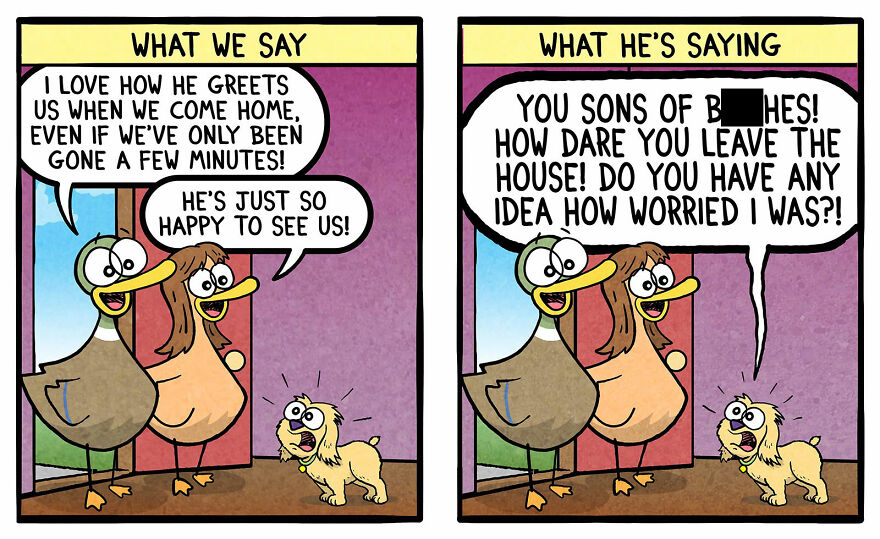 Duck Copes With Everyday Life And Kids One Cartoon At A Time (New Pics)