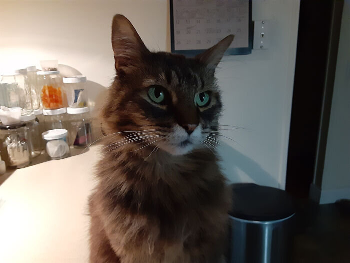 My Sweet Boy Emmett - Gone But Never Forgotten