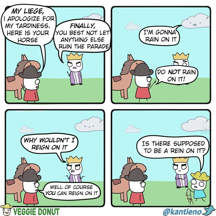 Chaotic comic strip with dark humor showing a knight, king, and pun on raining, reign, and rein in a field.