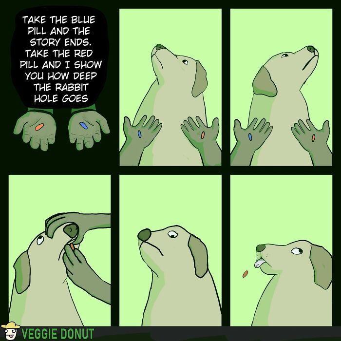 Chaotic comics with dark humor showing a dog choosing between a red and blue pill in a surreal comic strip.