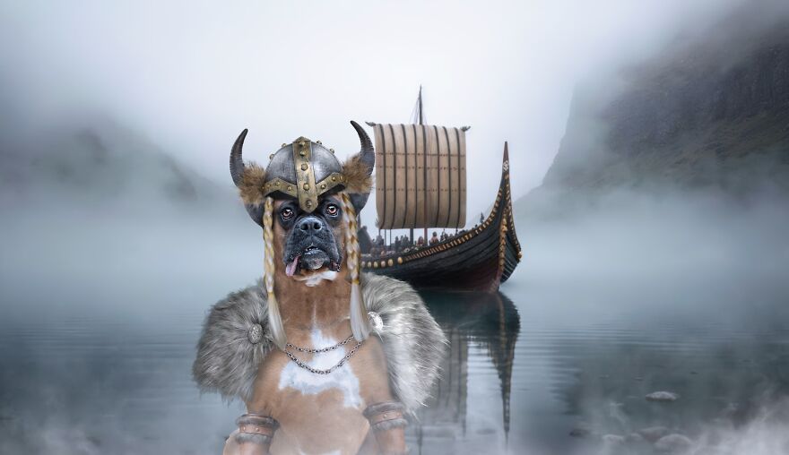 I Photographed 50 Dogs And Photoshopped Them Into Their Alter Egos. Here Are 15 Of My Favorites.