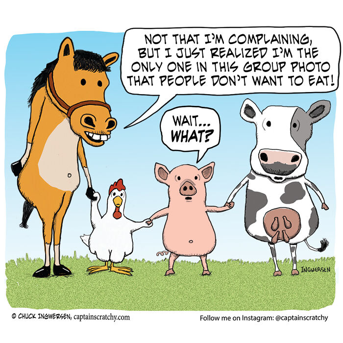 Funny Animal Comics By The Talented Captain Scratchy (New Pics)
