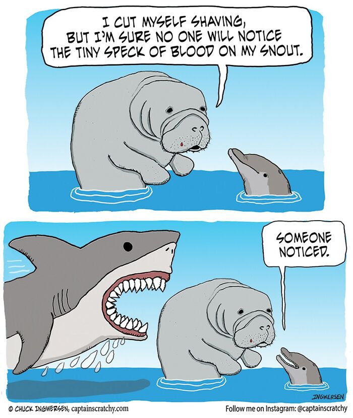 Funny Animal Comics By The Talented Captain Scratchy (New Pics)