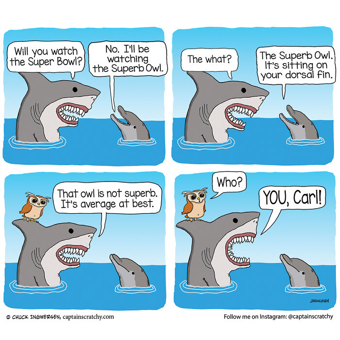 Funny Animal Comics By The Talented Captain Scratchy (New Pics)