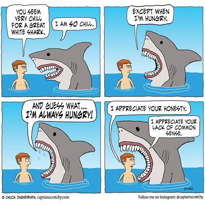 Funny Animal Comics By The Talented Captain Scratchy (New Pics)