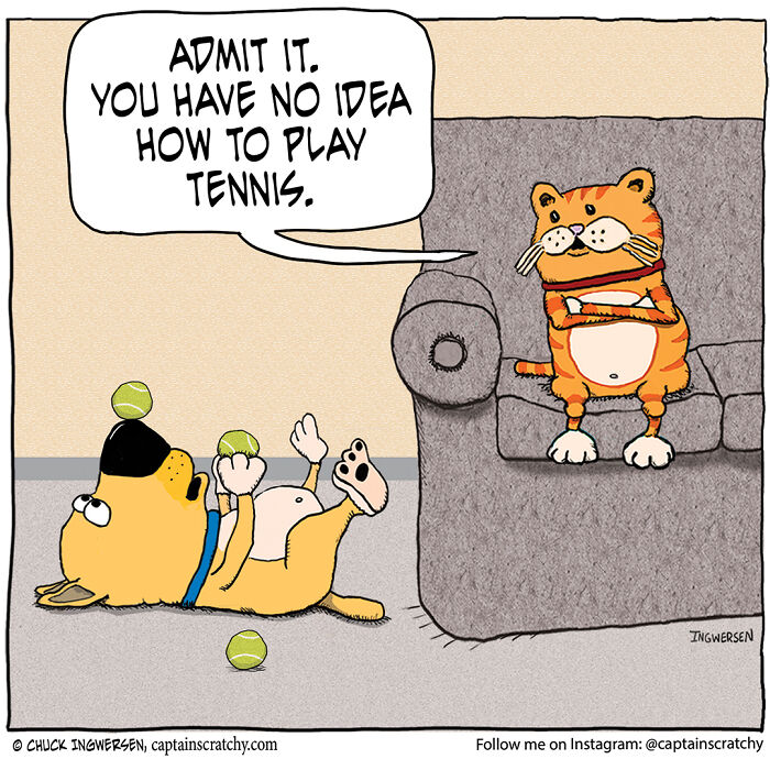 Funny Animal Comics By The Talented Captain Scratchy (New Pics)