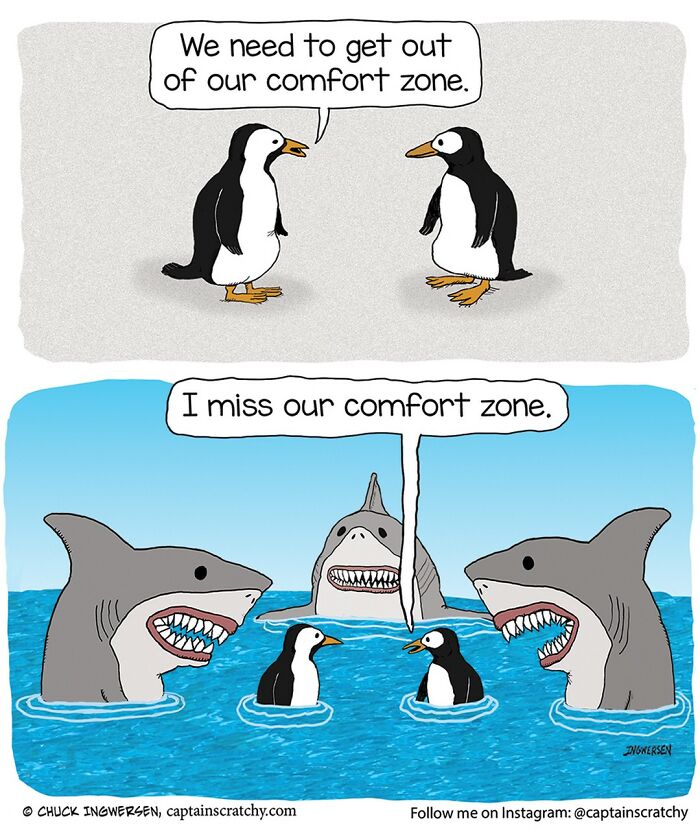 Funny Animal Comics By The Talented Captain Scratchy (New Pics)