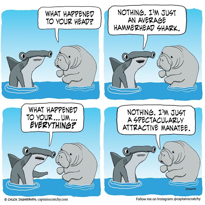 Funny Animal Comics By The Talented Captain Scratchy (New Pics)