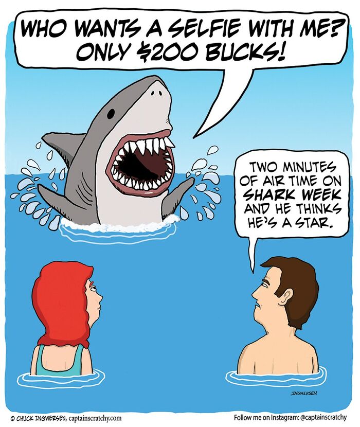 Funny Animal Comics By The Talented Captain Scratchy (New Pics)