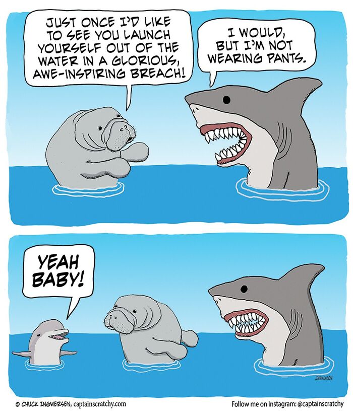 Funny Animal Comics By The Talented Captain Scratchy (New Pics)