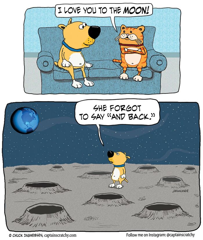 Funny Animal Comics By The Talented Captain Scratchy (New Pics)