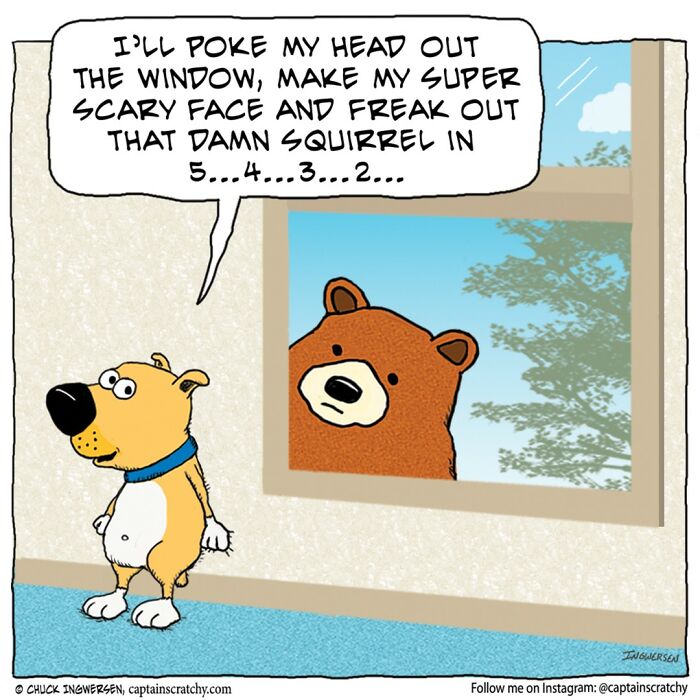 Funny Animal Comics By The Talented Captain Scratchy (New Pics)