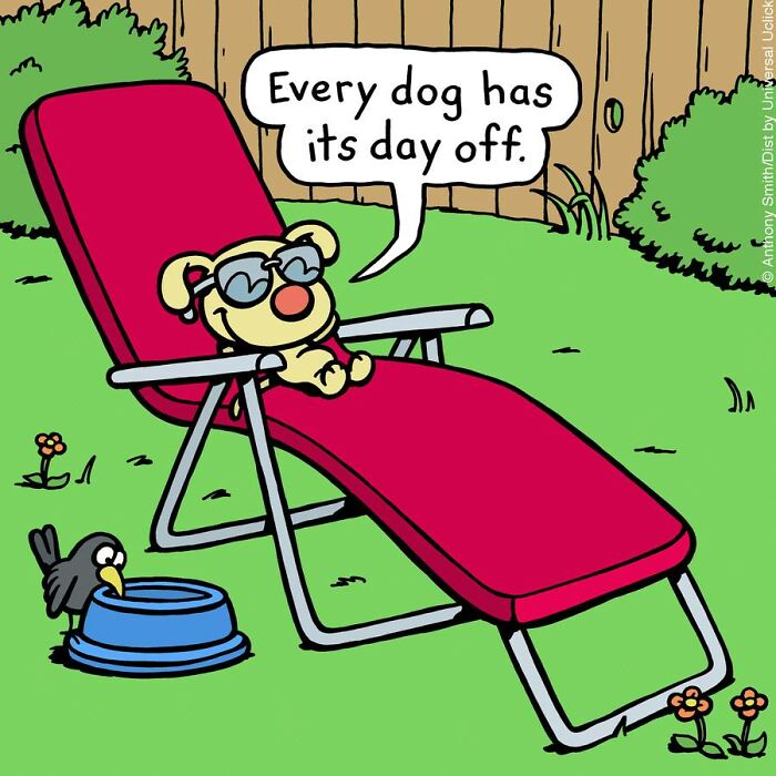 Have Fun With The Adventures Of "Cattitude Ans Doggonit", Where A Blue Cat And A Yellow Dog Are The Protagonists