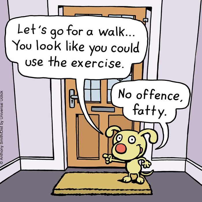 Have Fun With The Adventures Of "Cattitude Ans Doggonit", Where A Blue Cat And A Yellow Dog Are The Protagonists