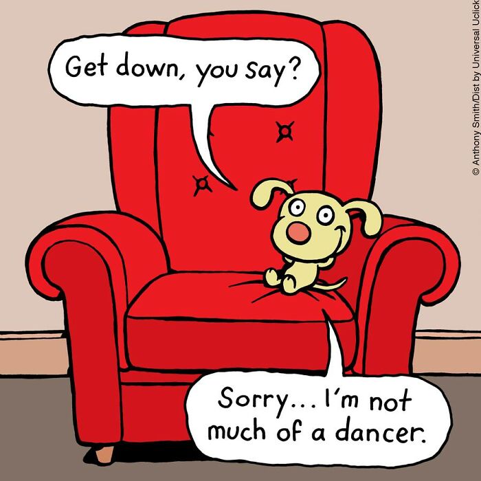 Have Fun With The Adventures Of "Cattitude Ans Doggonit", Where A Blue Cat And A Yellow Dog Are The Protagonists