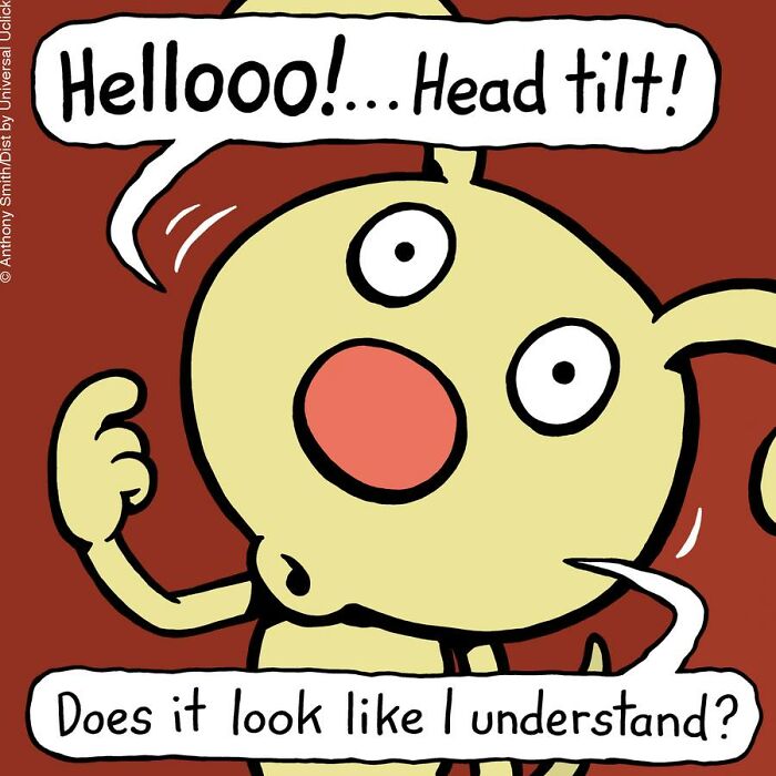 Have Fun With The Adventures Of "Cattitude Ans Doggonit", Where A Blue Cat And A Yellow Dog Are The Protagonists