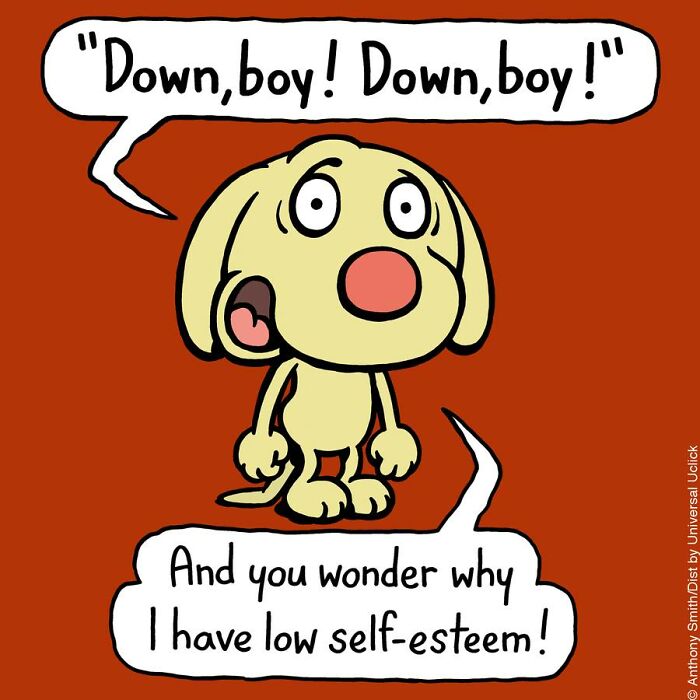 Have Fun With The Adventures Of "Cattitude Ans Doggonit", Where A Blue Cat And A Yellow Dog Are The Protagonists