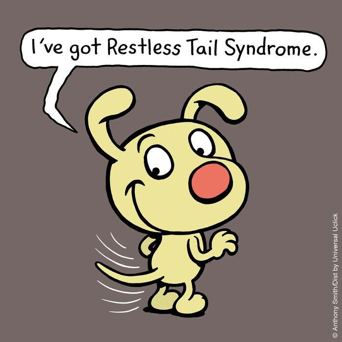 Have Fun With The Adventures Of "Cattitude Ans Doggonit", Where A Blue Cat And A Yellow Dog Are The Protagonists