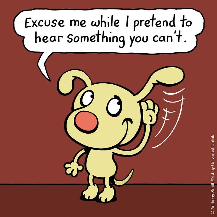 Have Fun With The Adventures Of "Cattitude Ans Doggonit", Where A Blue Cat And A Yellow Dog Are The Protagonists