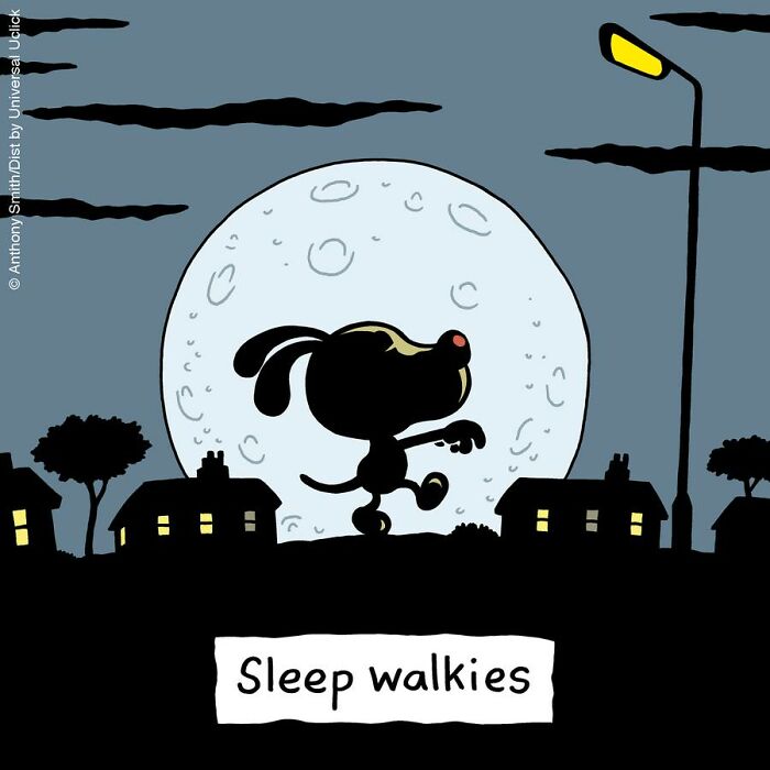 Have Fun With The Adventures Of "Cattitude Ans Doggonit", Where A Blue Cat And A Yellow Dog Are The Protagonists