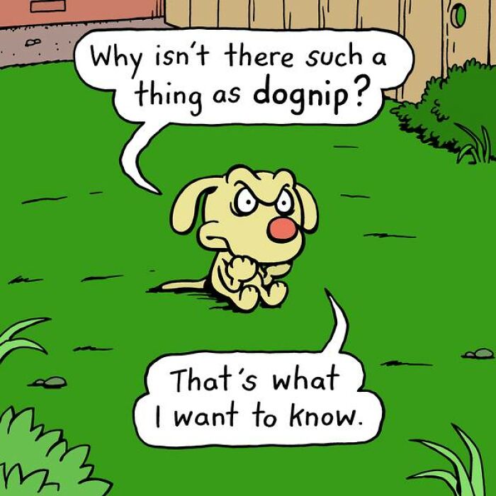 Have Fun With The Adventures Of "Cattitude Ans Doggonit", Where A Blue Cat And A Yellow Dog Are The Protagonists