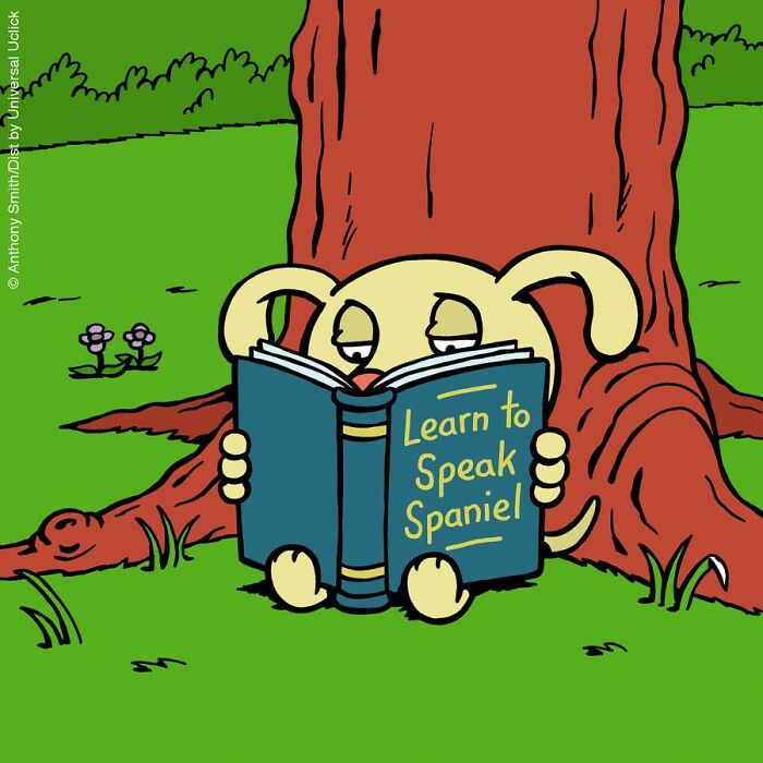 Have Fun With The Adventures Of "Cattitude Ans Doggonit", Where A Blue Cat And A Yellow Dog Are The Protagonists