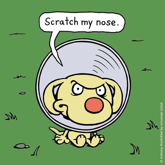 Have Fun With The Adventures Of "Cattitude Ans Doggonit", Where A Blue Cat And A Yellow Dog Are The Protagonists