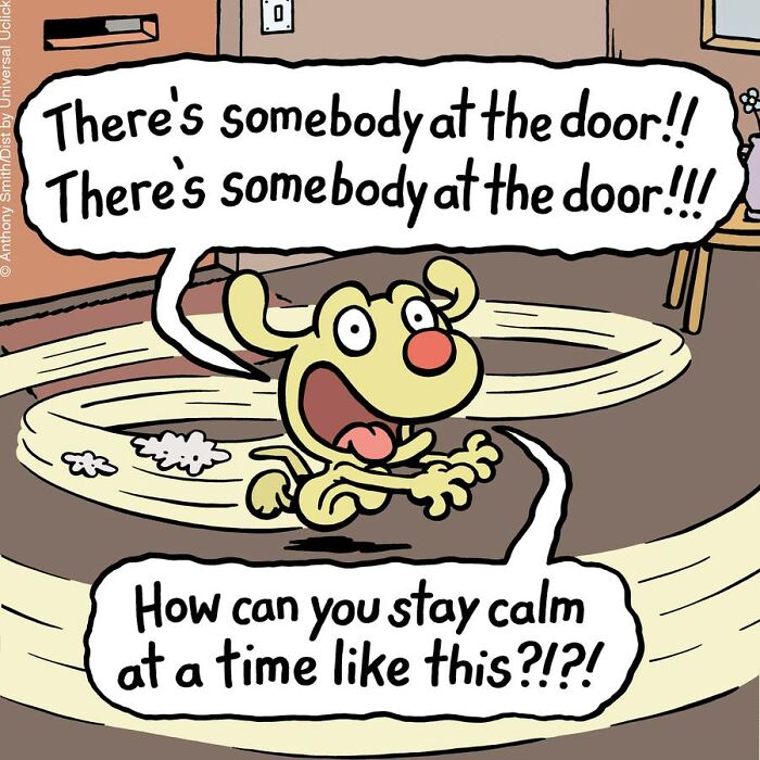 Have Fun With The Adventures Of "Cattitude Ans Doggonit", Where A Blue Cat And A Yellow Dog Are The Protagonists