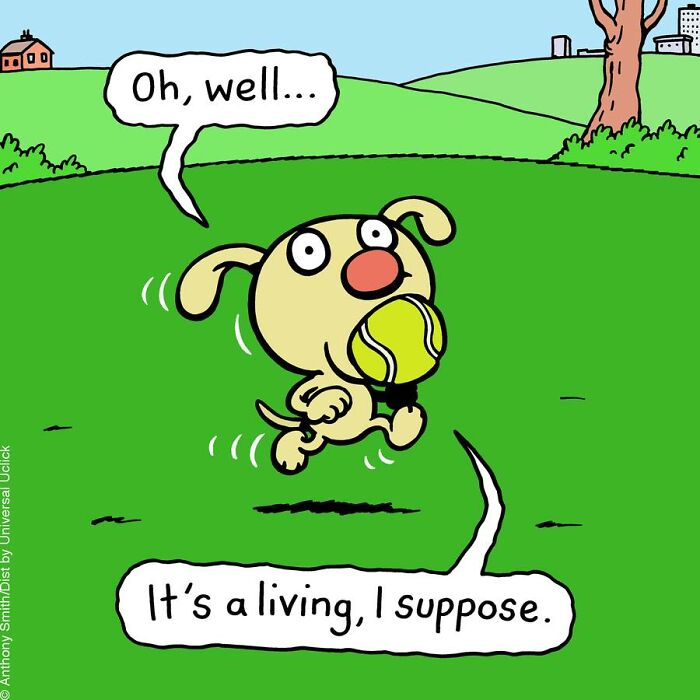 Have Fun With The Adventures Of "Cattitude Ans Doggonit", Where A Blue Cat And A Yellow Dog Are The Protagonists