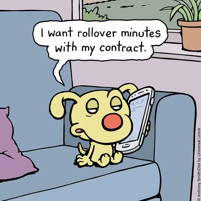 Have Fun With The Adventures Of "Cattitude Ans Doggonit", Where A Blue Cat And A Yellow Dog Are The Protagonists