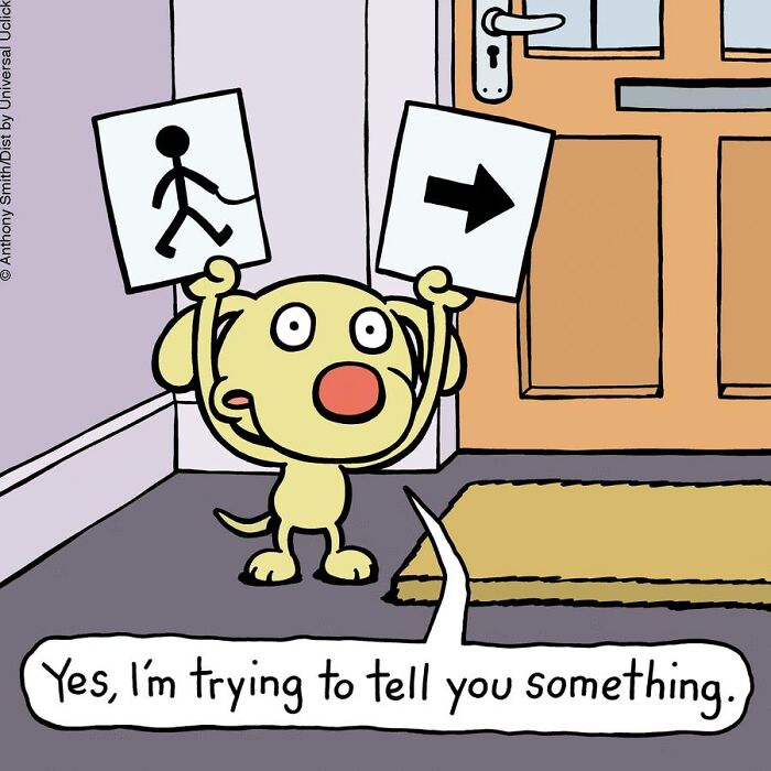 Have Fun With The Adventures Of "Cattitude Ans Doggonit", Where A Blue Cat And A Yellow Dog Are The Protagonists