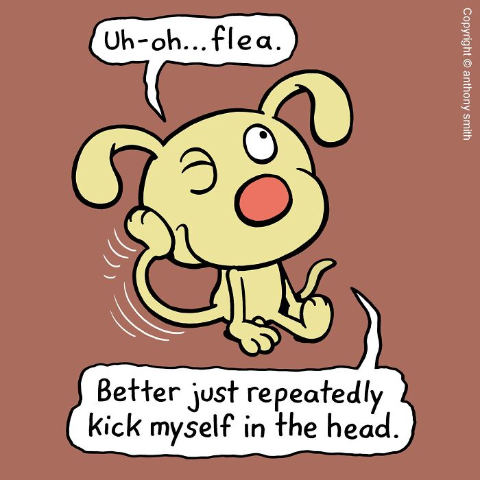 Have Fun With The Adventures Of "Cattitude Ans Doggonit", Where A Blue Cat And A Yellow Dog Are The Protagonists