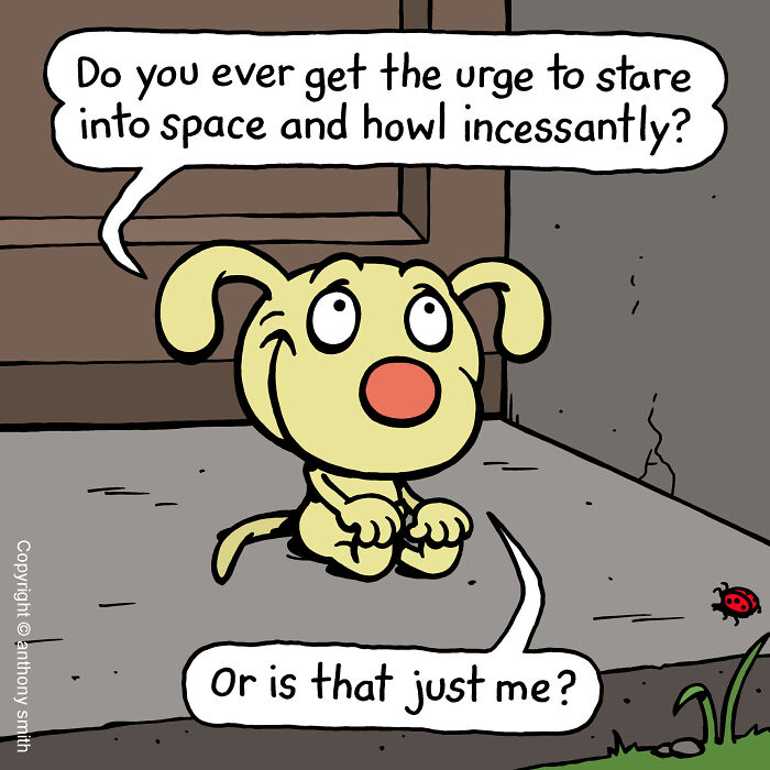 Have Fun With The Adventures Of "Cattitude Ans Doggonit", Where A Blue Cat And A Yellow Dog Are The Protagonists