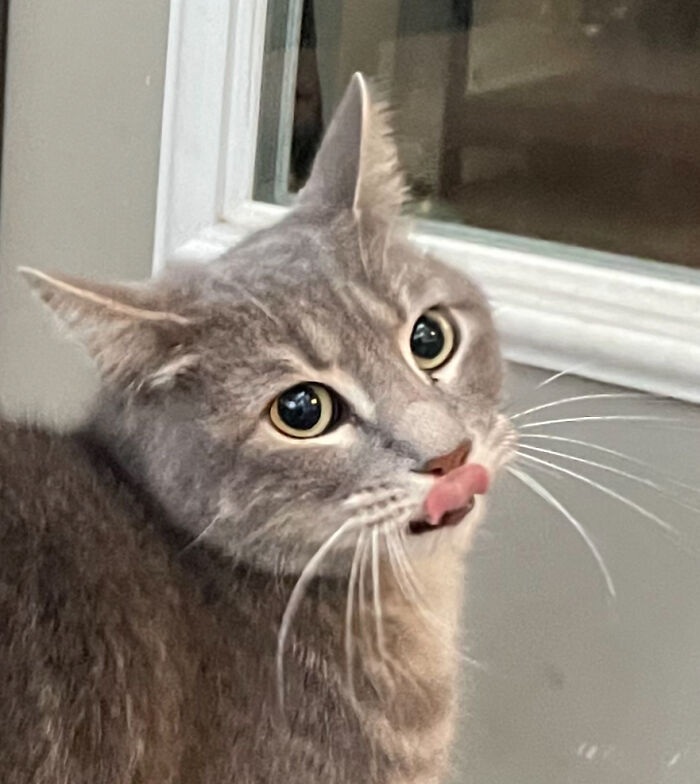 Blep