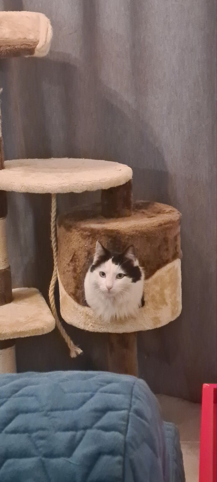 He Barely Fits In There Anymore! 😄