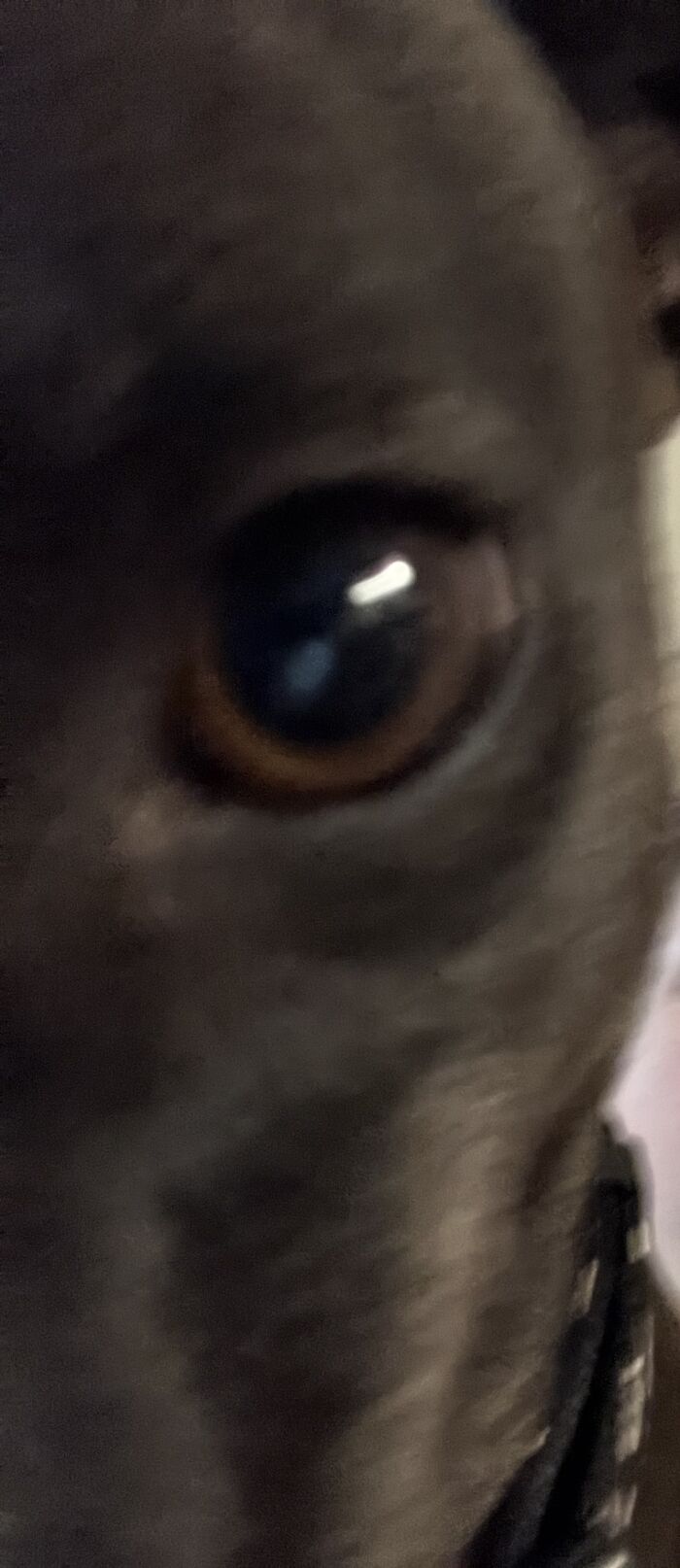 Ma’am That Is Toooo Close To The Camera