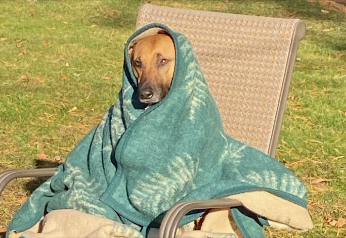 The Force Is Strong With This One