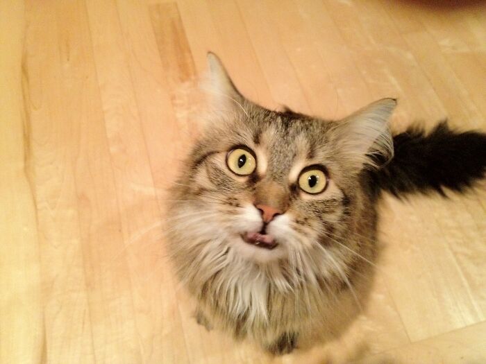 Please, Sir - May I Have Some More?