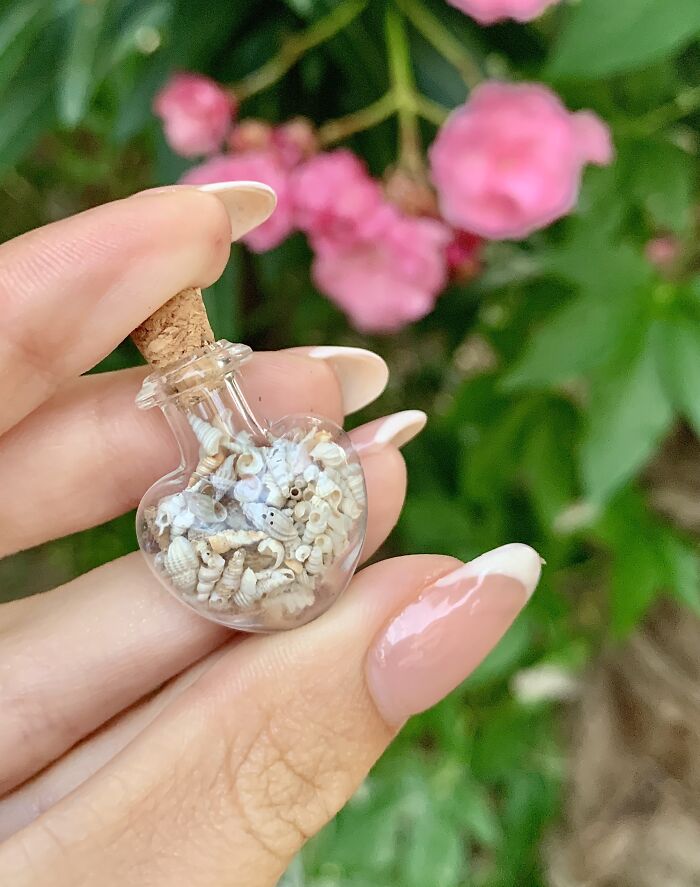I Made Jewellery Using Shells From An Enchanting Beach