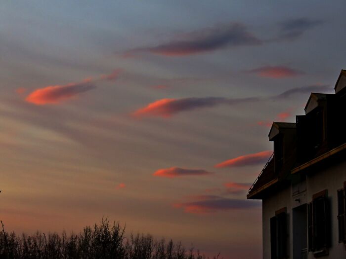 From My Window...sky Flock