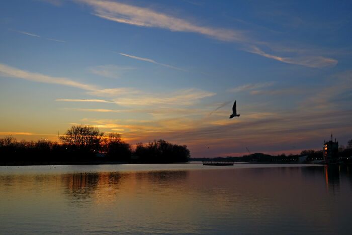 Sunset On The Lake Next To My House In Belgrade