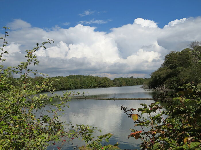 Reifel Migratory Bird Sanctuary , Near Vancouver Bs Canada