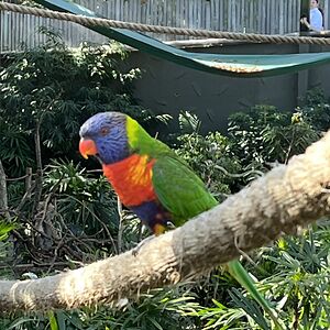 ariannaburgess avatar